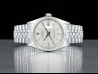 Rolex Datejust 36 Argento Linen Jubilee Heavenly Horses Dial  Watch  1601